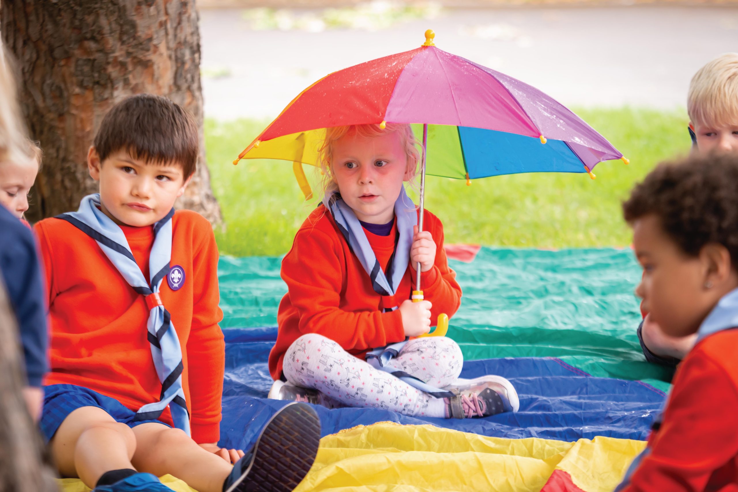 Squirrels taking part in an outdoor activity
